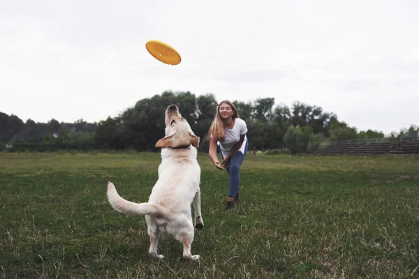 Young Woman Playing Her Labrador Park She Throws Yellow Frisbee — Stock Photo, Image