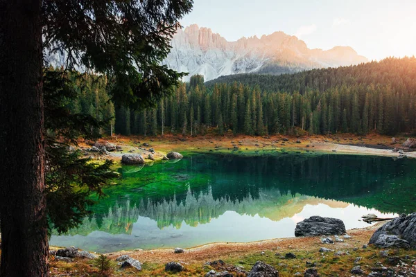 Fundo Lindo Paisagem Outono Com Lago Claro Floresta Abeto Montanhas — Fotografia de Stock