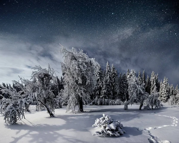 Yıldızlı Gökyüzü Kış Karlı Gecede New Year Eve Fantastik Samanyolu — Stok fotoğraf