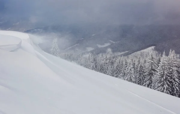 Prachtige Winter Landschap Met Besneeuwde Bomen Sneeuw Cornice — Stockfoto