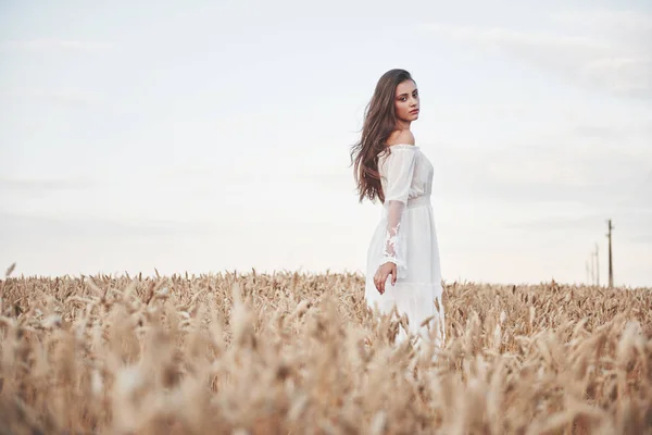 Portret Pięknej Dziewczyny Białej Sukience Polu Pszenicy — Zdjęcie stockowe