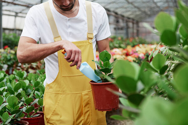 Профессиональный. Человек садовник в желтой и белой одежде работает с зелеными растениями в вазах
.