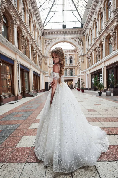 Beautiful delicate young woman, sexy bride in luxurious wedding dress Stock  Photo by mstandret