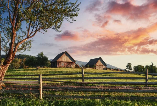 日差しの中で美しい夏の山の風景 牧草地フェンスのビュー 田園風景 — ストック写真