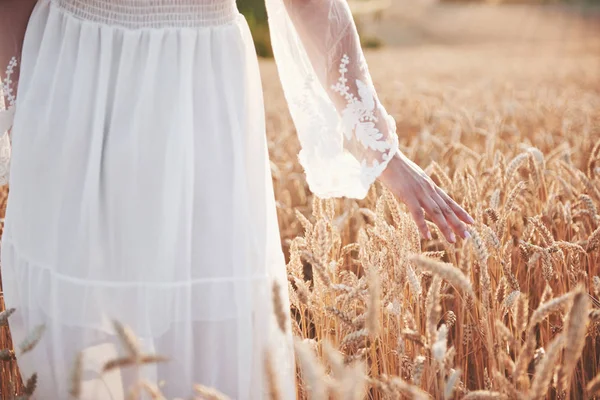 Uma Menina Bonita Vestido Branco Gasta Mão Picos Trigo Dourado — Fotografia de Stock