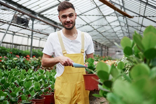 Lachende Aantrekkelijke Bebaarde Man Werken Met Planten Het Houden Van — Stockfoto
