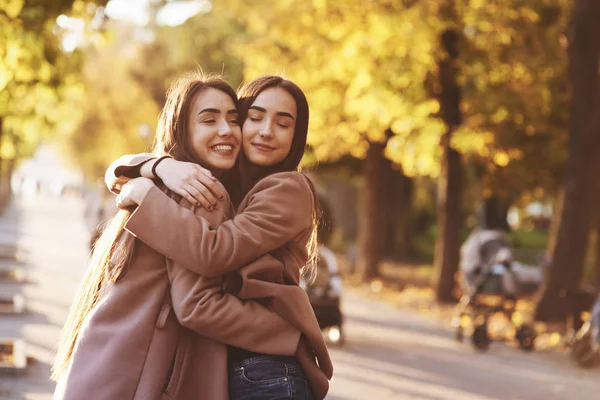 Side Profile Young Smiling Brunette Twin Girls Hugging Having Fun — Stock Photo, Image