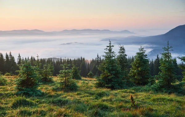 Reisen Trekking Sommerlandschaft Berge Grünes Gras Bäume Und Blauer Himmel — Stockfoto