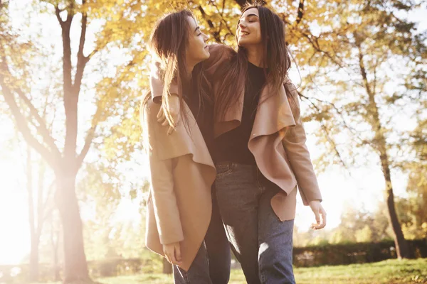 若いです笑顔ブルネットの双子の女の子抱擁 お互いを見て ぼやけた背景に秋の晴れた公園でカジュアルなコートで歩く — ストック写真