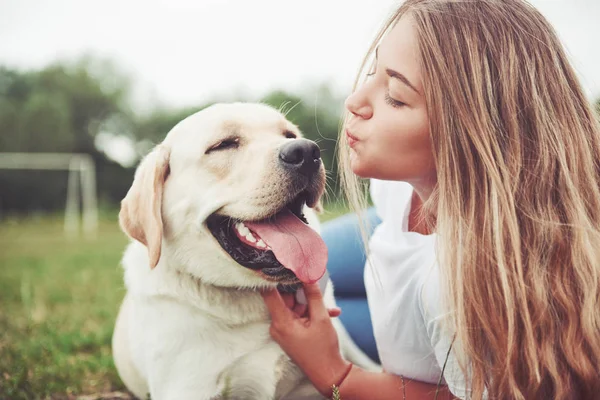 Ram Med Vacker Flicka Med Vacker Hund Park Grönt Gräs — Stockfoto