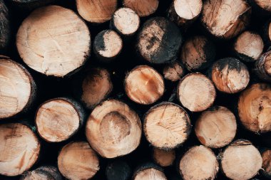 Keskin odun yığını. Kış için hazırlanmış pek çok kütüğün önünü yakından izleyin. Doğa arkaplanı.