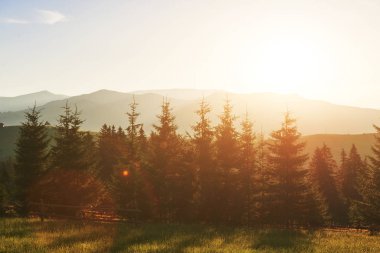 Karpatya dağlarında güzel bir sonbahar gündoğumu manzarası, Avrupa seyahati, batı Ukrayna, Karpatya milli parkı, harika bir dünya, duvar kağıdı manzarası.