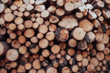 Soyut resim. Kış için hazırlanmış pek çok kütüğün önünü yakından izleyin. Doğa arkaplanı.