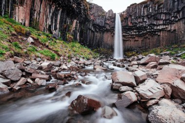 Svartifoss şelalesinin manzarası harika. Dramatik ve resimli bir sahne. Popüler turist eğlencesi. İzlanda, Avrupa