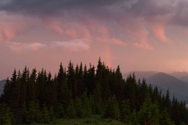Ormandaki dağ yamacında sisli renkli gündoğumu. Misty Carpathian manzarası
