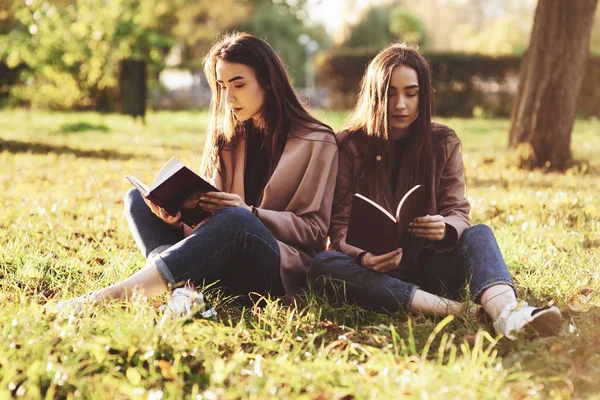 Hermanas Gemelas Morenas Jóvenes Sentadas Una Cerca Otra Hierba Con — Foto de Stock