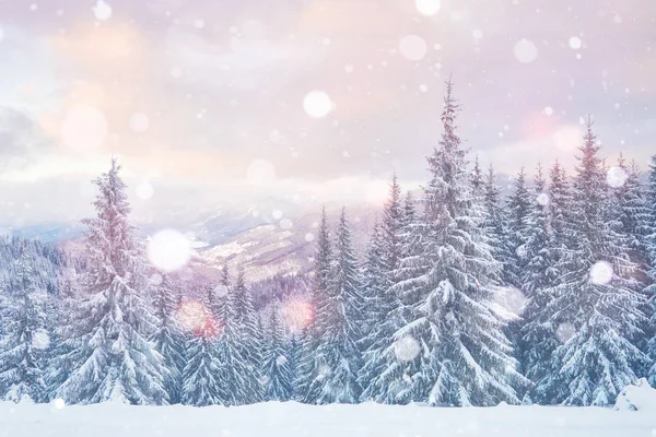 Tajemniczy Krajobraz Majestatyczne Góry Zimie Magiczne Drzewo Pokryte Śniegiem Kartka — Zdjęcie stockowe