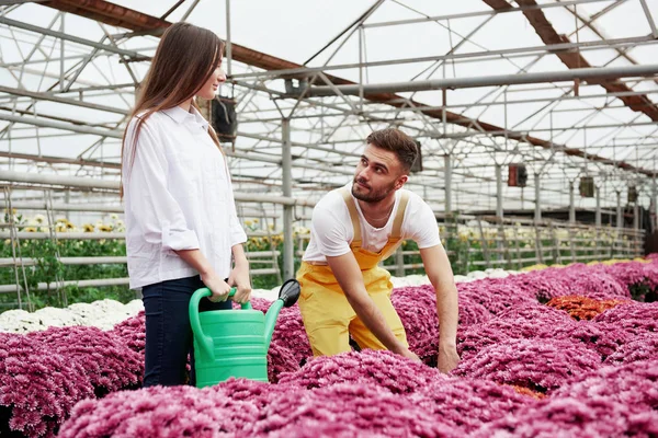 Két Dolgozó Ember Bámul Egymásra Munka Közben Üvegházban — Stock Fotó