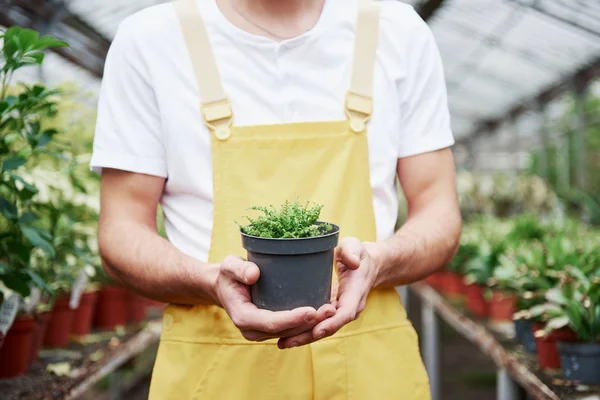 Hombre Sosteniendo Jarrón Invernadero Plantas Fondo —  Fotos de Stock