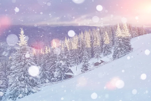 Misterioso Paisaje Majestuosas Montañas Invierno Árbol Mágico Cubierto Nieve Tarjeta — Foto de Stock