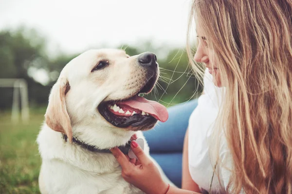 Parkta yeşil çimlerin üzerinde güzel bir köpeği olan güzel bir kızı çerçevelet.