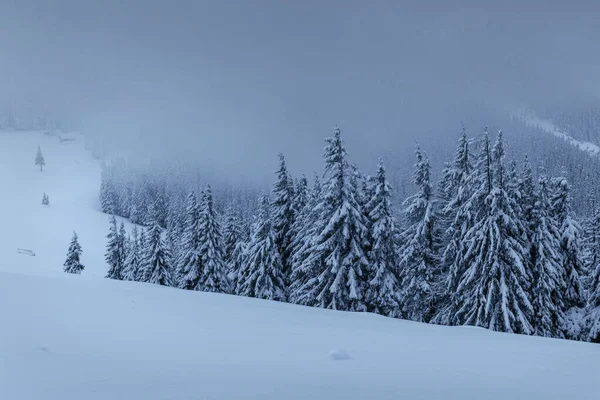 穏やかな冬のシーン ファーム雪で覆われて霧の中に立つ 森の端に美しい景色 明けましておめでとうございます — ストック写真