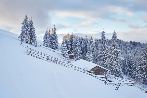 Fantastik Kış Manzarası Kulübeye Kurşun Adımlar Sihirli Olayı Soğuk Gün — Stok fotoğraf