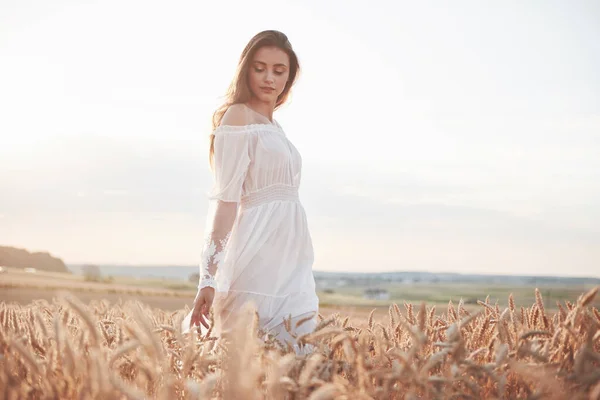 Retrato Uma Menina Bonita Vestido Branco Campo Trigo — Fotografia de Stock