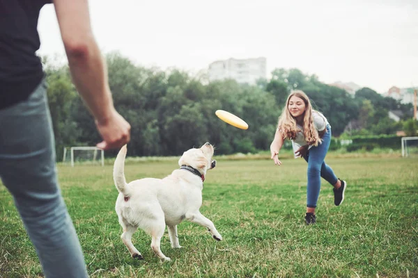 Een Mooi Meisje Dat Speelt Met Haar Geliefde Hond Het — Stockfoto