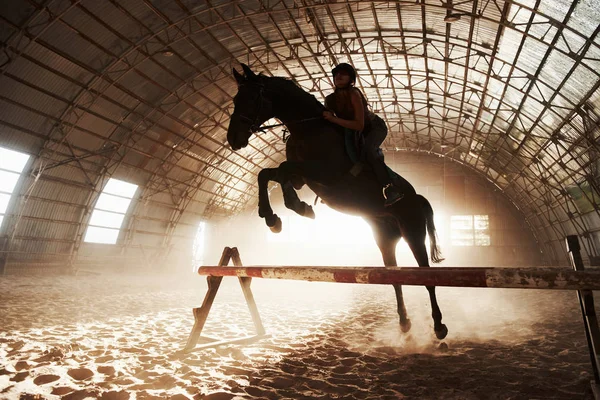 Majestic Image Horse Horse Silhouette Rider Sunset Background Girl Jockey — Stock Photo, Image