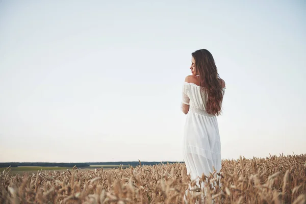 Beautiful Girl Field Wheat White Dress Perfect Picture Style Lifestyle — Stock Photo, Image