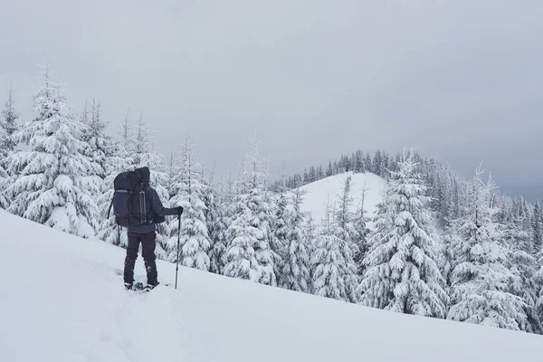 ハイキング バックパックでは 山の範囲に登っており 雪を賞賛帽をかぶったピーク 冬の荒野での壮大な冒険 — ストック写真