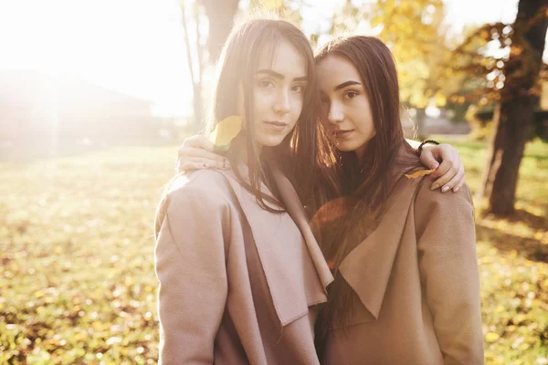 Mladé Brunetky Dvojčata Stojící Velmi Blízko Sobě Otočily Držely Ruce — Stock fotografie