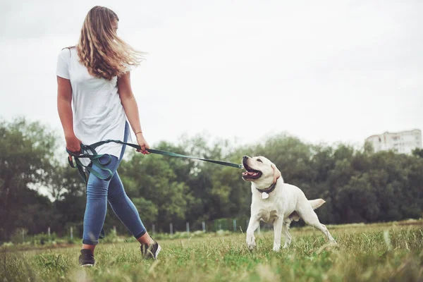 Ung Smilende Jente Med Lykkelig Uttrykk Leker Med Hunden Sin – stockfoto