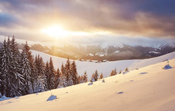 ウクライナの下の雪の丘の上の小さな村で壮大な夕日 冬には山の中の村 美しい冬の風景 カルパチア人 ウクライナ ヨーロッパ — ストック写真