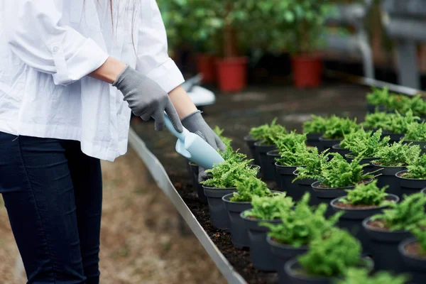 女の子は働いている 鍋の植物と作業手袋で手のビューを閉じます — ストック写真