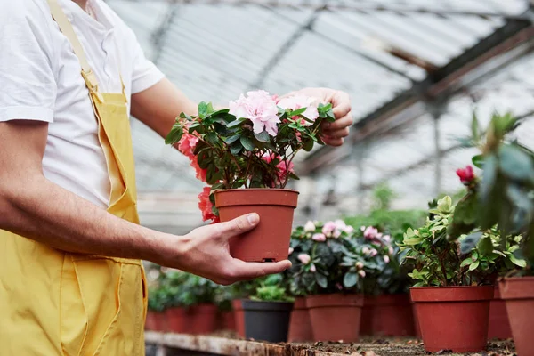 Job wear. Greenhouse worker holding the vase with flowers.