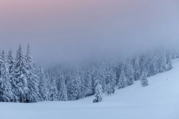 神秘的冬季风景 雄伟的群山覆盖着白雪的树木 照片贺卡 喀尔巴阡山乌克兰欧洲 新年快乐 — 图库照片