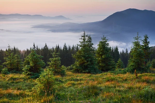 Cestování Turistika Letní Krajina Hory Zelená Tráva Stromy Modrá Obloha — Stock fotografie