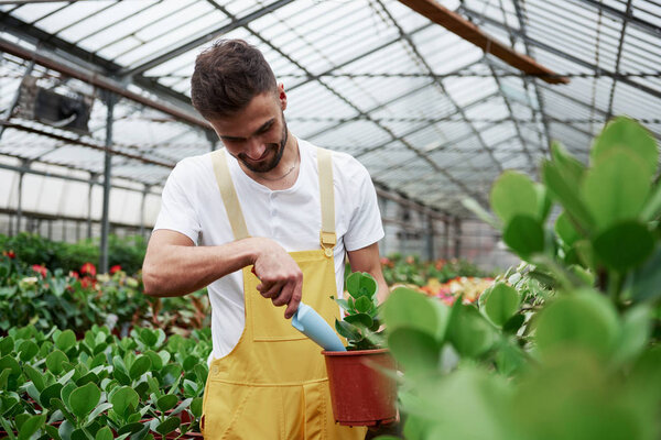 Чувствую радость. Человек садовник в желтой и белой одежде работает с зелеными растениями в вазах
.