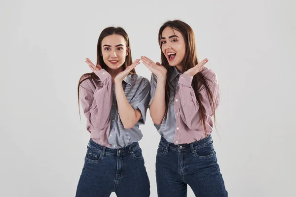 Humor Brincalhão Duas Irmãs Gêmeas Posando Estúdio Com Fundo Branco — Fotografia de Stock