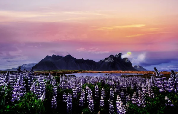 Farbenfroher Sonnenuntergang Über Den Bergen Die Malerischen Landschaften Der Wälder — Stockfoto