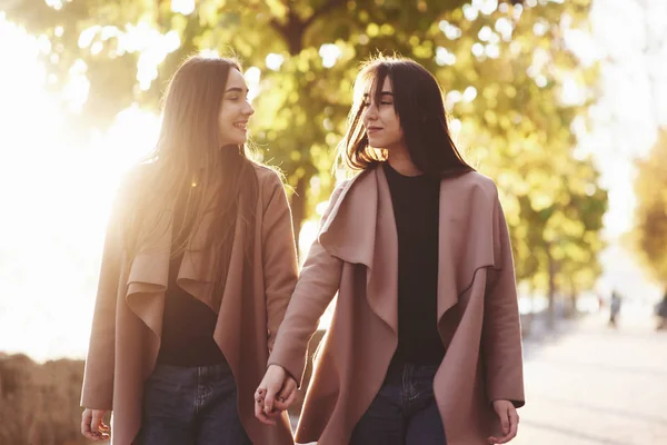 Junge Lächelnde Brünette Zwillingsmädchen Die Sich Gegenseitig Anschauen Händchen Haltend — Stockfoto