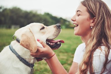 Parkta yeşil çimlerin üzerinde güzel bir köpeği olan güzel bir kızı çerçevelet.
