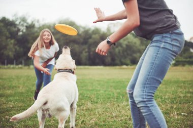 Parkta sevgili köpeğiyle oynayan güzel bir kız.