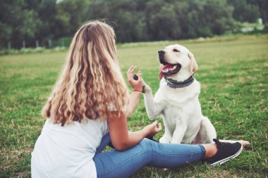 Parkta yeşil çimlerin üzerinde güzel bir köpeği olan güzel bir kızı çerçevelet.