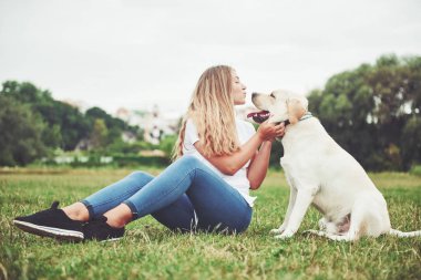 Çekici genç kadın labrador açık havada. Kadın ile köpek labrador geri almak yeşil çimenlerin üzerinde.