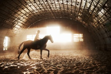 Gün batımı arka planında binicisi olan at siluetinin görkemli görüntüsü. Kız jokey bir aygırın sırtında bir çiftlikteki hangarda geziyor ve direğin üzerinden atlıyor. Binicilik konsepti.