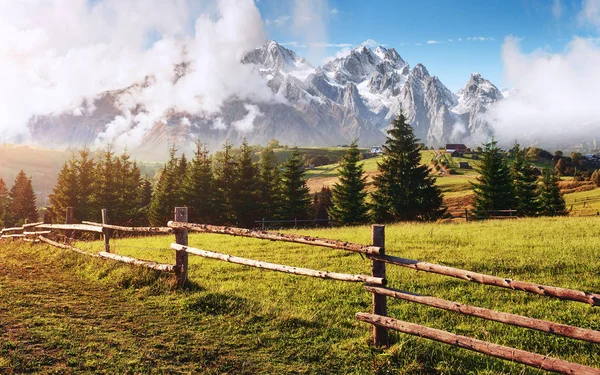 Alps Mountain Meadow Tranquil Summer View Landscape Fog Mountains Rows — Stock Photo, Image