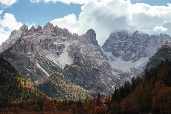 Nice Landscape Beautiful Mountains Trees Valley Filled Sunlight — Stock Photo, Image